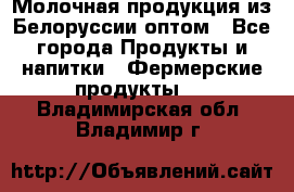 Молочная продукция из Белоруссии оптом - Все города Продукты и напитки » Фермерские продукты   . Владимирская обл.,Владимир г.